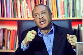 Utomi Reveals Opposition Coalition To Challenge APC In 2027