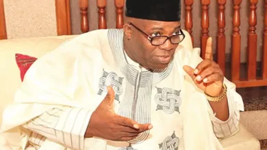 Ex-presidential spokesperson,Doyin-Okupe